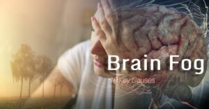 Read more about the article 브레인 포그(Brain Fog)의 핵심 원인 10가지와 자가진단 방법 알기