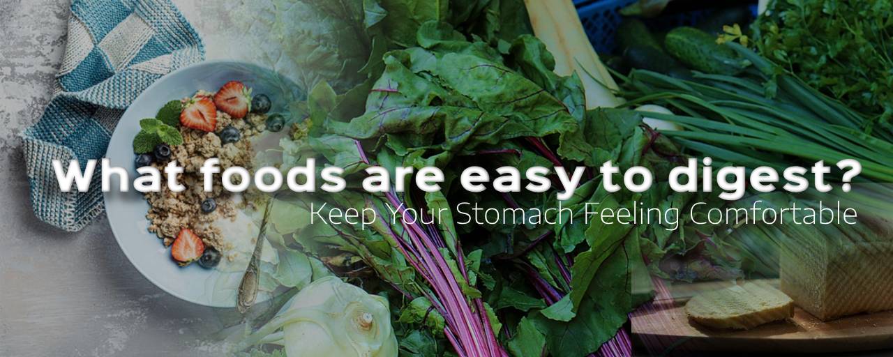 소화 잘되는 음식은 무엇인가요?의 섬네일 이미지